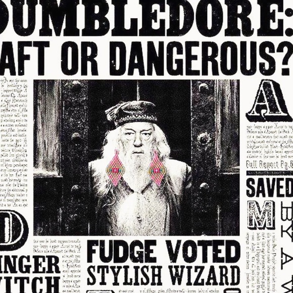 Handmade Indigenous  Beaded Earrings 🌸 - Picture 1 of 7